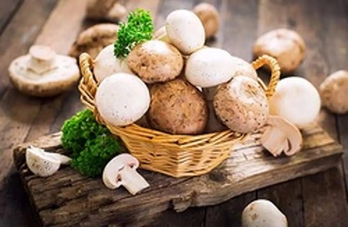 چگونه قارچ سمی را از قارچ خوراکی تشخیص دهیم؟
