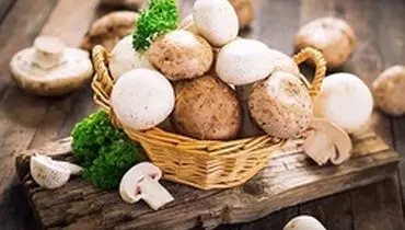 چگونه قارچ سمی را از قارچ خوراکی تشخیص دهیم؟
