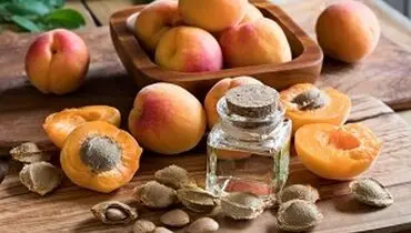 مغز هسته زردآلو را بخوریم یا نه؟ خواص مغز هسته زردآلو چیست؟
