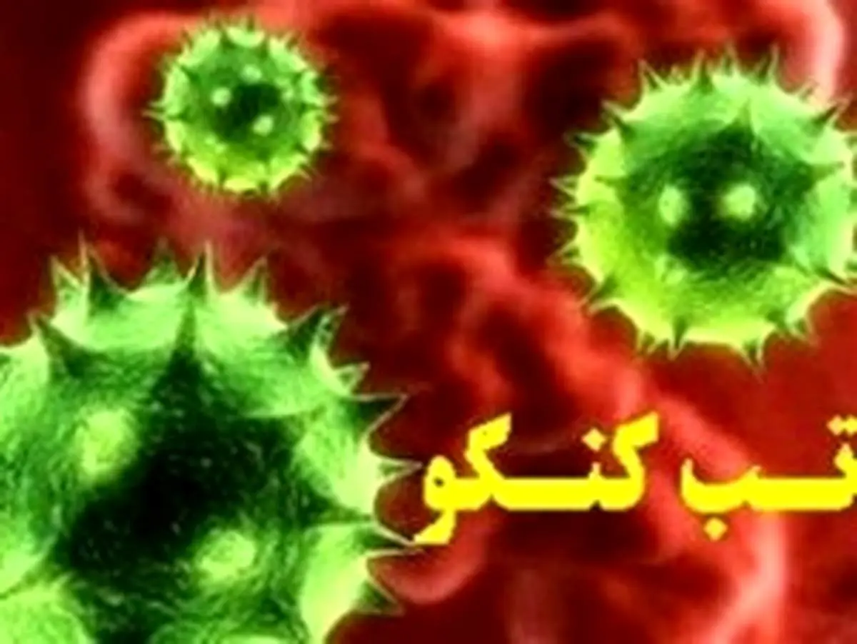 هشدار دامپزشکی گیلان درباره شیوع تبکریمه کنگو