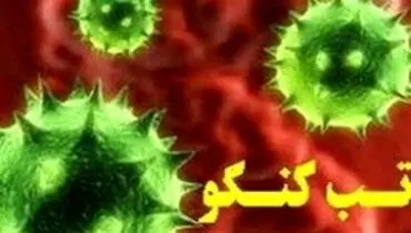 هشدار دامپزشکی گیلان درباره شیوع تب‌کریمه کنگو