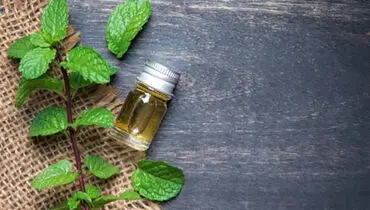 مزایای روغن نعناع برای سلامتی
