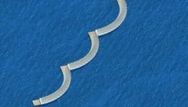جلوگیری از خسارت تندباد‌ها و امواج دریا با جنگل شناور
