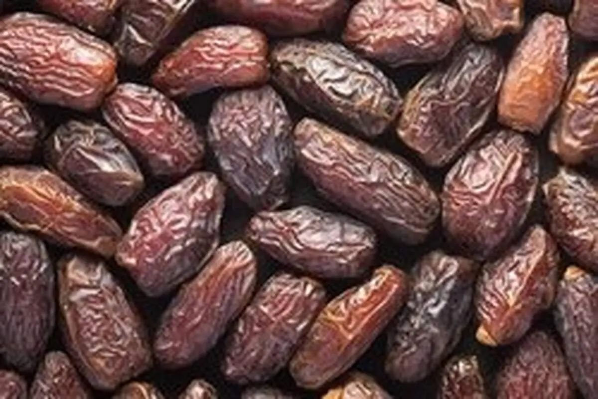 عوارض صادراتی خرما لغو می‌شود