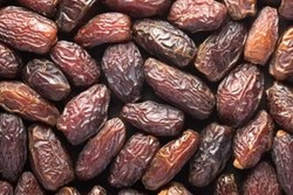 عوارض صادراتی خرما لغو می‌شود
