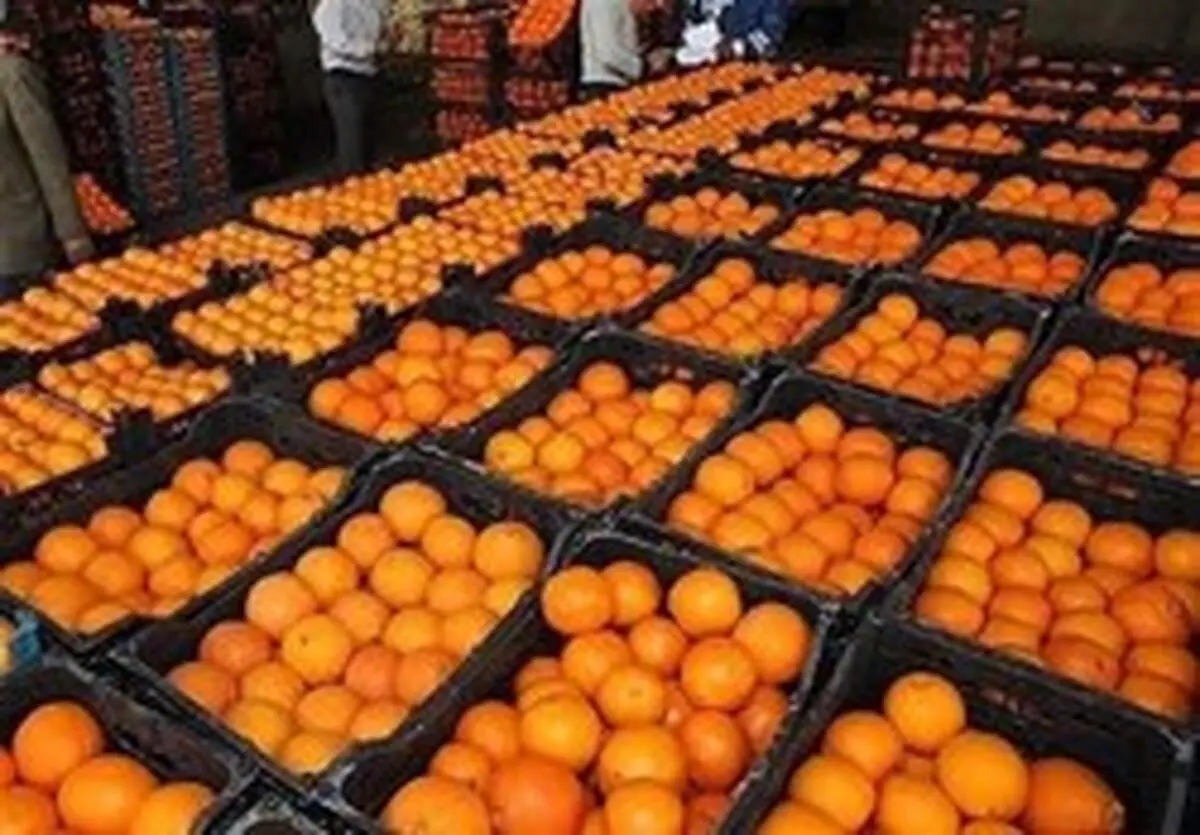 میادین میوه و تره بار فقط عید فطر تعطیل هستند