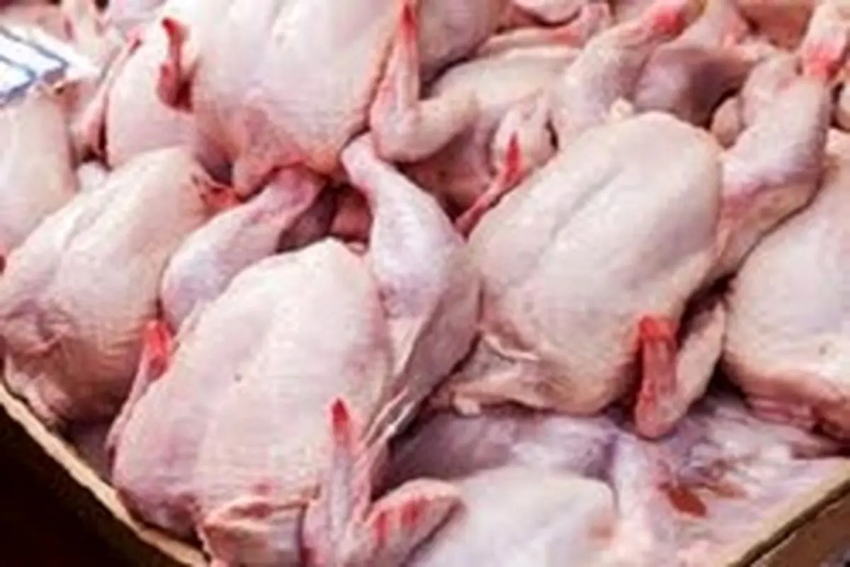 کاهش ۴۰۰ تومانی قیمت گوشت مرغ