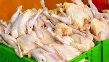 تولید گوشت مرغ در کشور افزایش می‌یابد