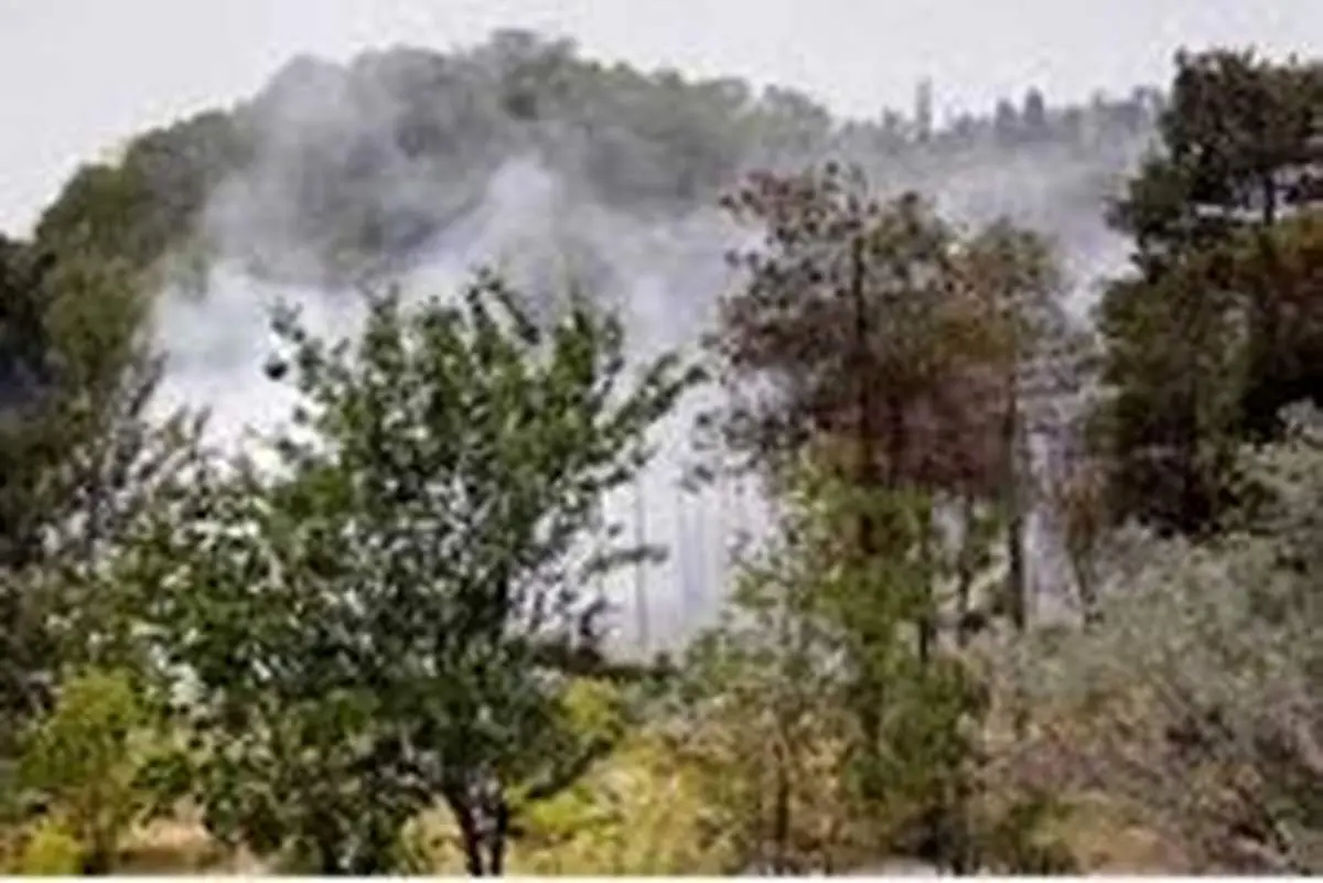 دستگیری عوامل آتش سوزی پارک جنگلی چیتگر