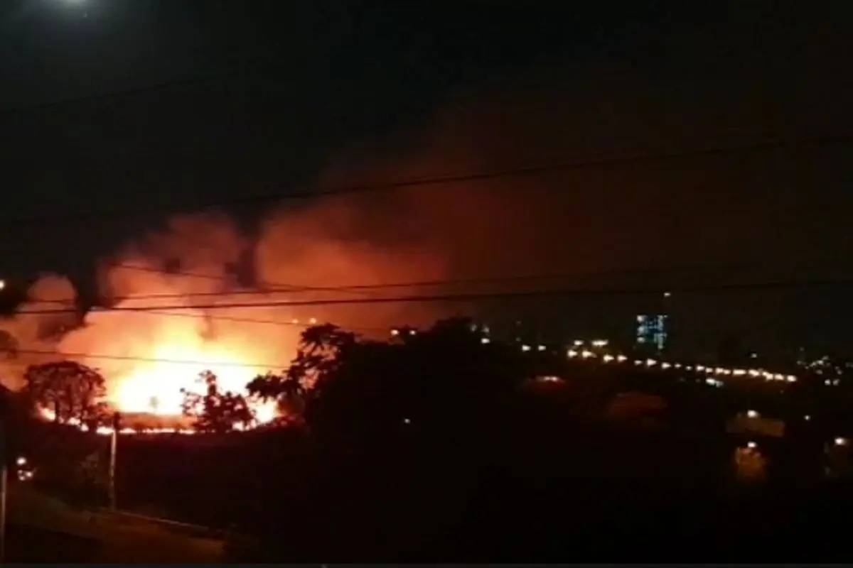 آتش سوزی گسترده در فضای سبز زیر پل مدیریت - تهران