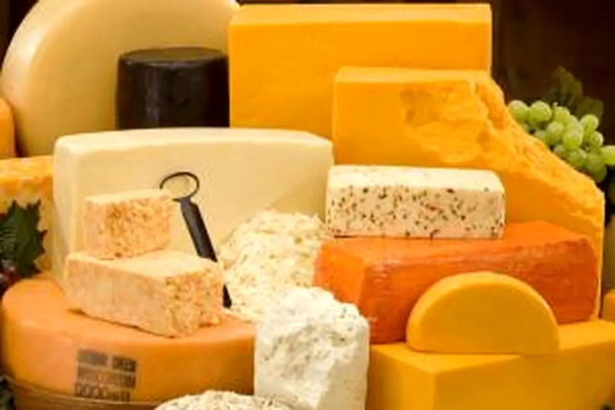 خواص پنیر برای درمان میگرن
