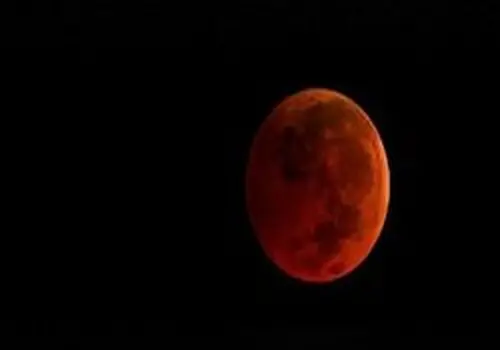 همه چیز درباره آخرین ماه بهار؛ ماه توت فرنگی