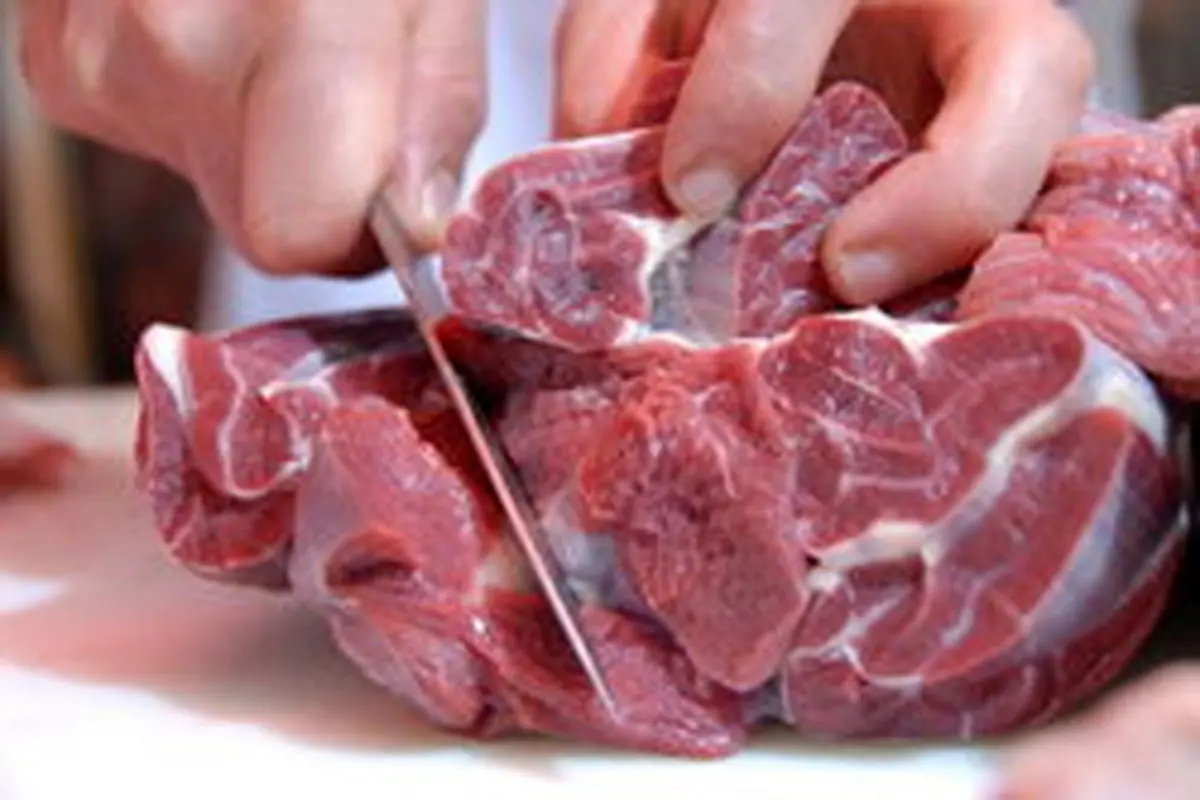رئیس اتحادیه گوشت گوسفندی: گوشت ارزان شد