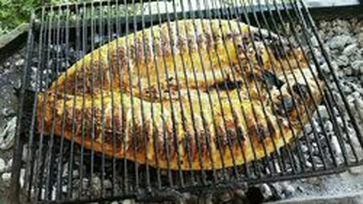 ماهی کبابی با نخودفرنگی باب دل کباب خورها