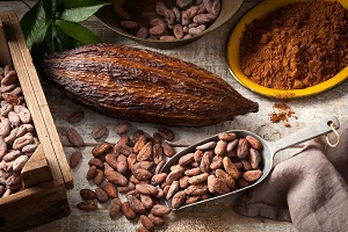 پیشگیری از چاقی و مقاومت به انسولین با کاکائو