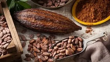 پیشگیری از چاقی و مقاومت به انسولین با کاکائو