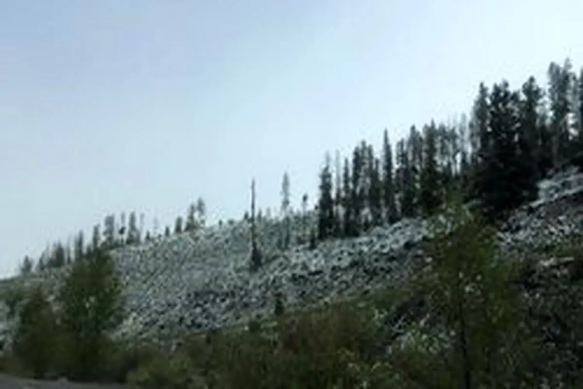 بارش برف تابستانی در یکی از ایالت‌های آمریکا! +تصاویر