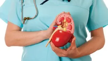 هرآنچه باید درباره سنگ کلیه بدانید