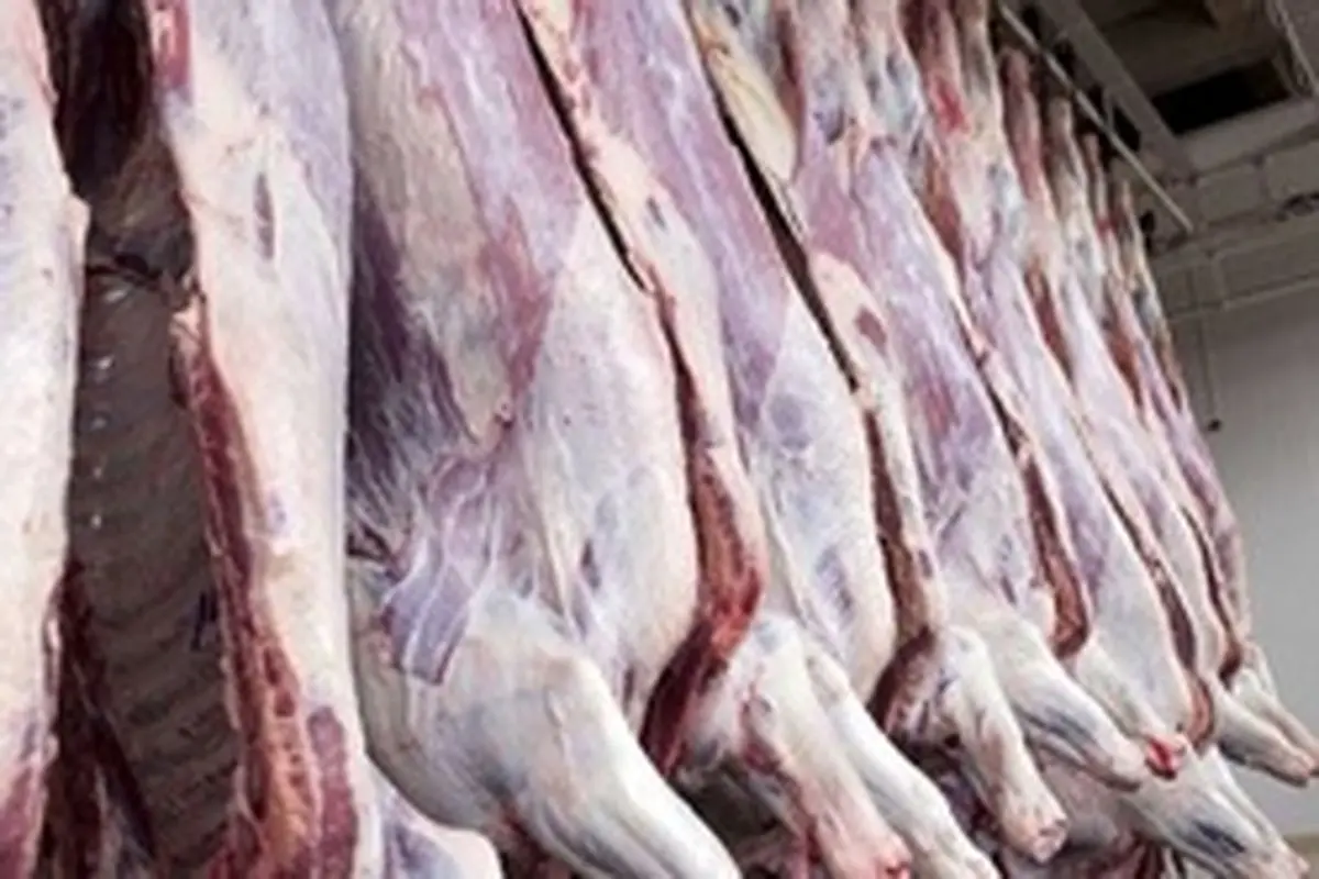 واسطه‌ها مانع کاهش قیمت گوشت قرمز در بازار