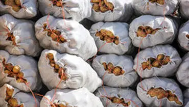 متهمان پرونده گرانی سیب‌زمینی را بشناسید