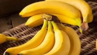 بهترین و بدترین مواد غذایی برای معده و گوارش
