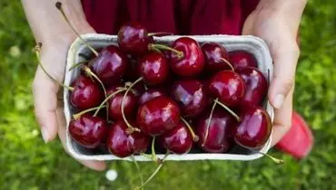 به یازده دلیل، زیاد گیلاس بخورید