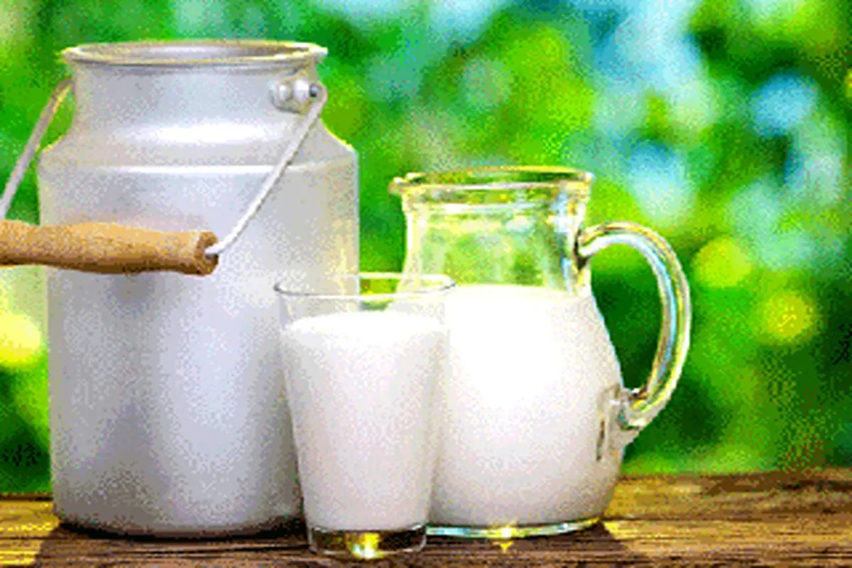 مصرف روزانه ۲ لیوان شیر چه تاثیری بر سلامتی شما می‌گذارد؟