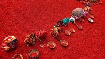 تصویری سوزان از مزرعه‌ای قرمز در بنگلادش