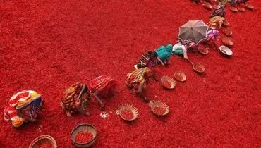 تصویری سوزان از مزرعه‌ای قرمز در بنگلادش