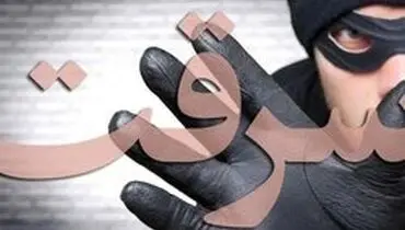 دستگیری موبایل‌قاپ اینستاگرامی