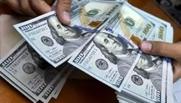مخالفت وزارت صنعت با حذف ارز دولتی