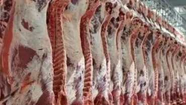 نرخ گوشت گوسفندی کیلویی ۱۰۰.۰۰۰ تومان ثابت ماند