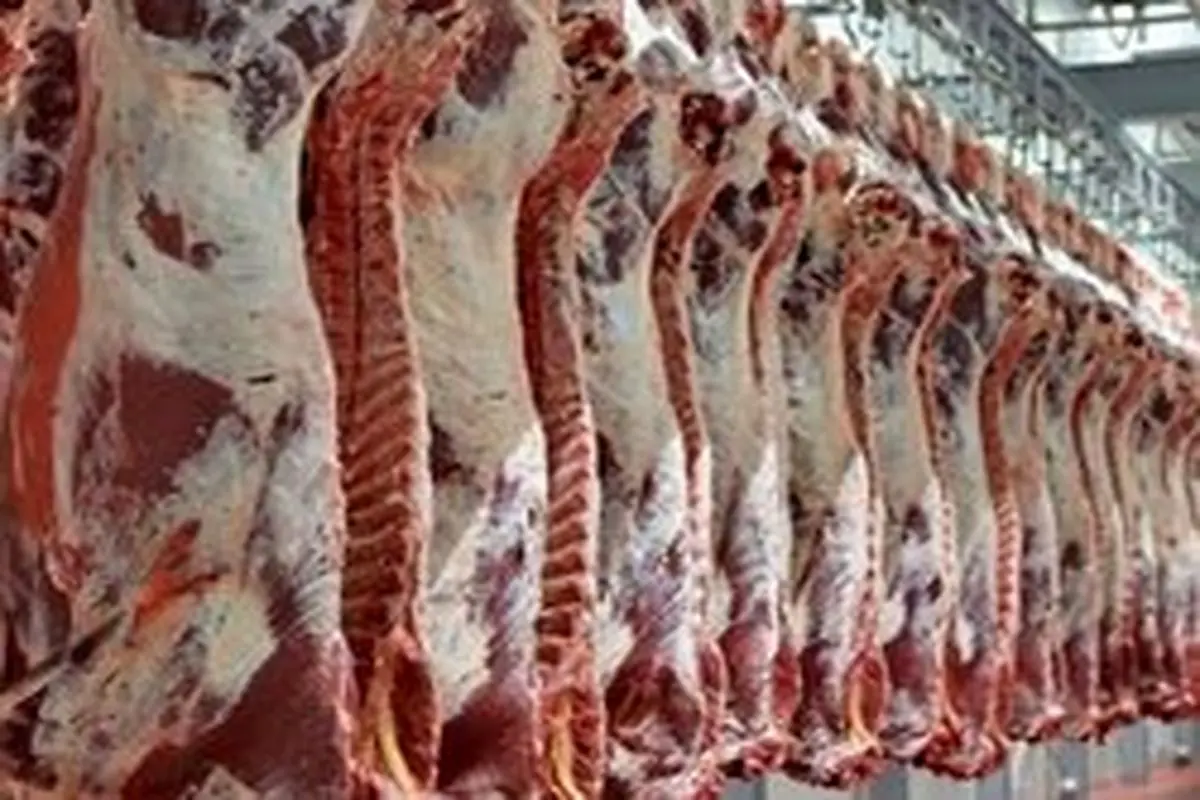 نرخ گوشت گوسفندی کیلویی ۱۰۰.۰۰۰ تومان ثابت ماند