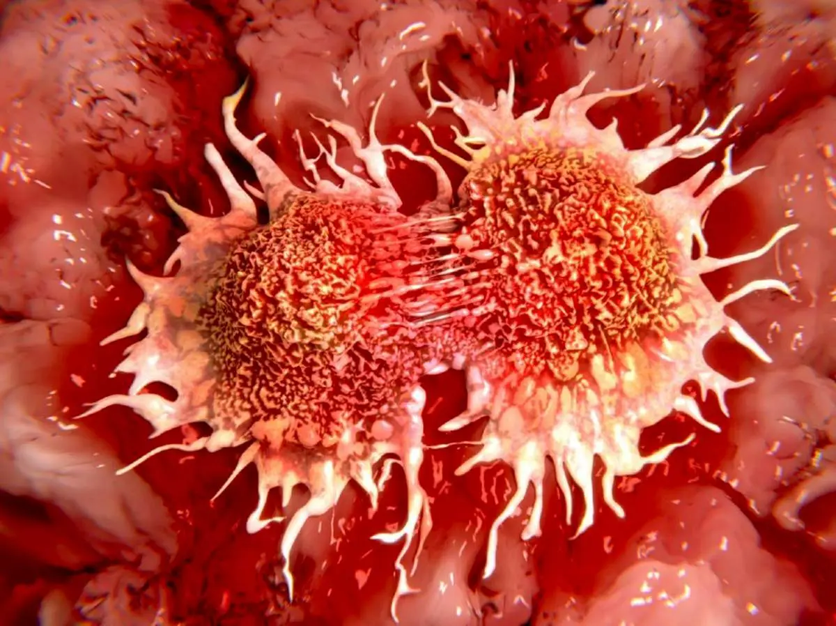 چند نوع سرطان وجود دارند؟