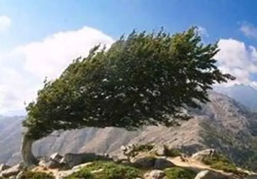 حرکت سامانه بارشی به سمت شرق کشور+ فیلم