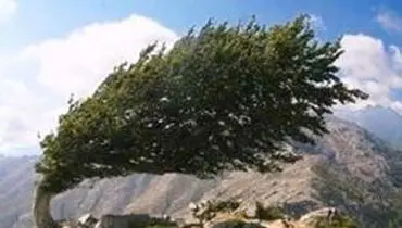 وزش باد شدید در استان تهران پیش بینی می‌شود
