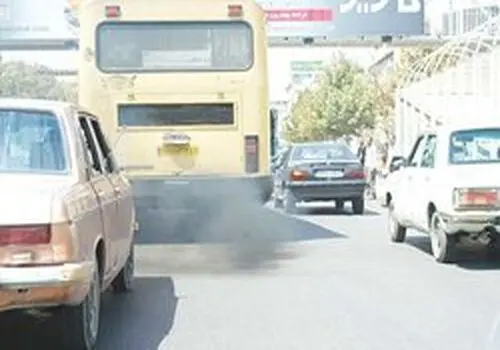 کاشت 50 هزار درخت در پارک جنگلی چیتگر

