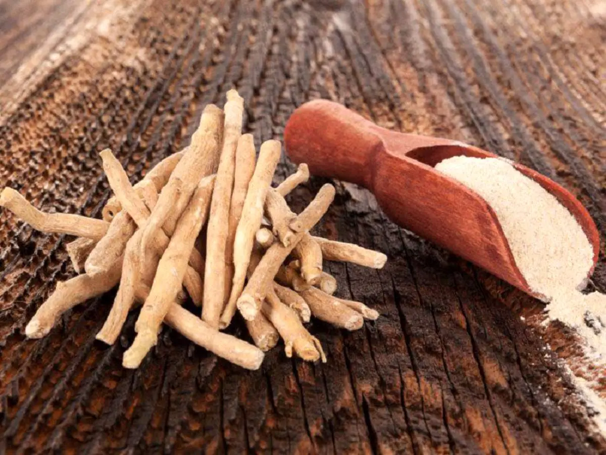 ۱۱ نسخه گیاهی برای مغز