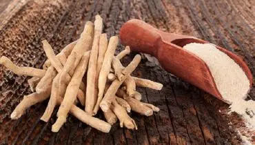 ۱۱ نسخه گیاهی برای مغز