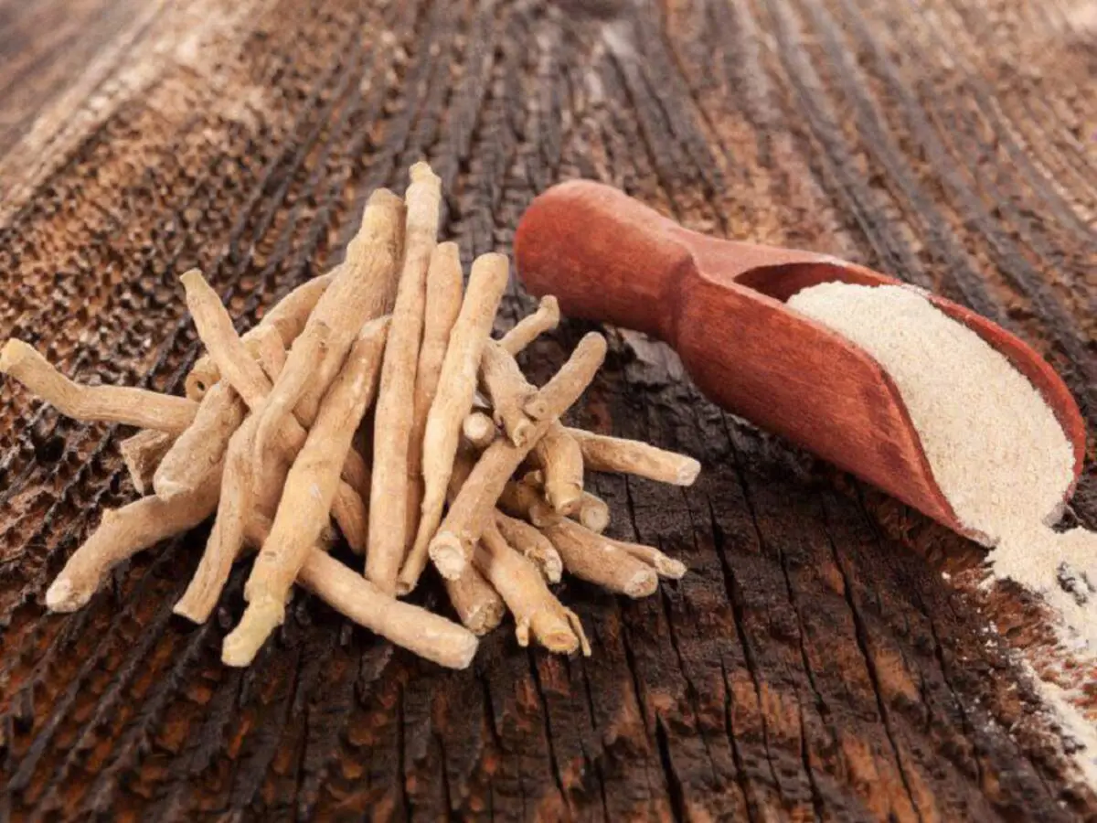 ۱۱ نسخه گیاهی برای مغز