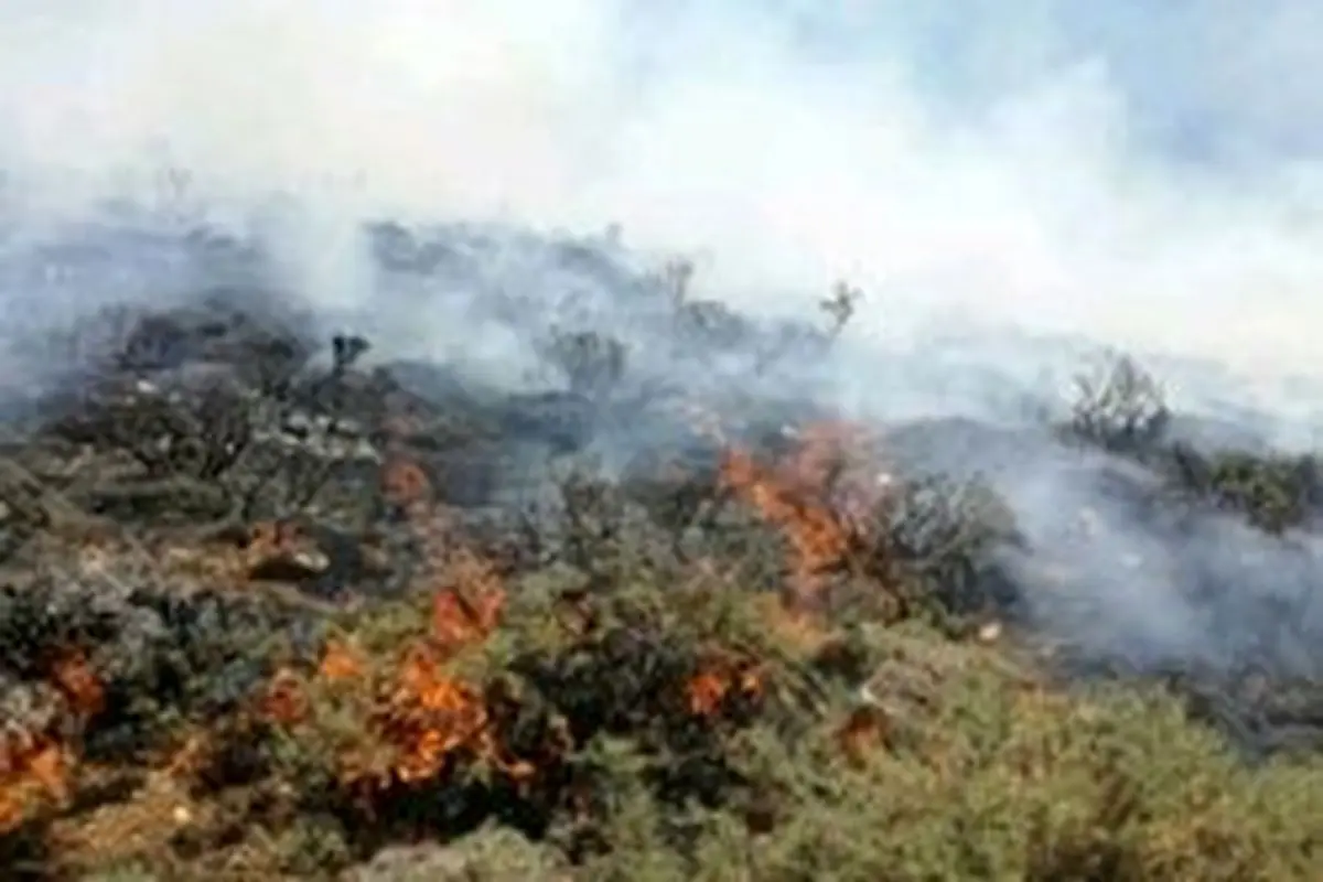 ۱۰۰هکتار از جنگلهای پلدختر در آتش سوخت