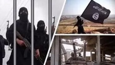 «مغز متفکر اقتصادی» داعش کشته شد