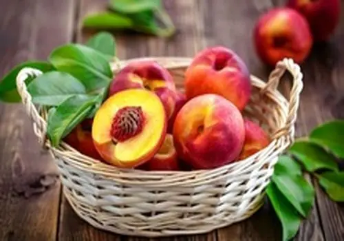 میوه های تابستانی مخصوص افراد دیابتی