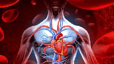 ۱۱ روش خانگی برای تصفیه کردن خون