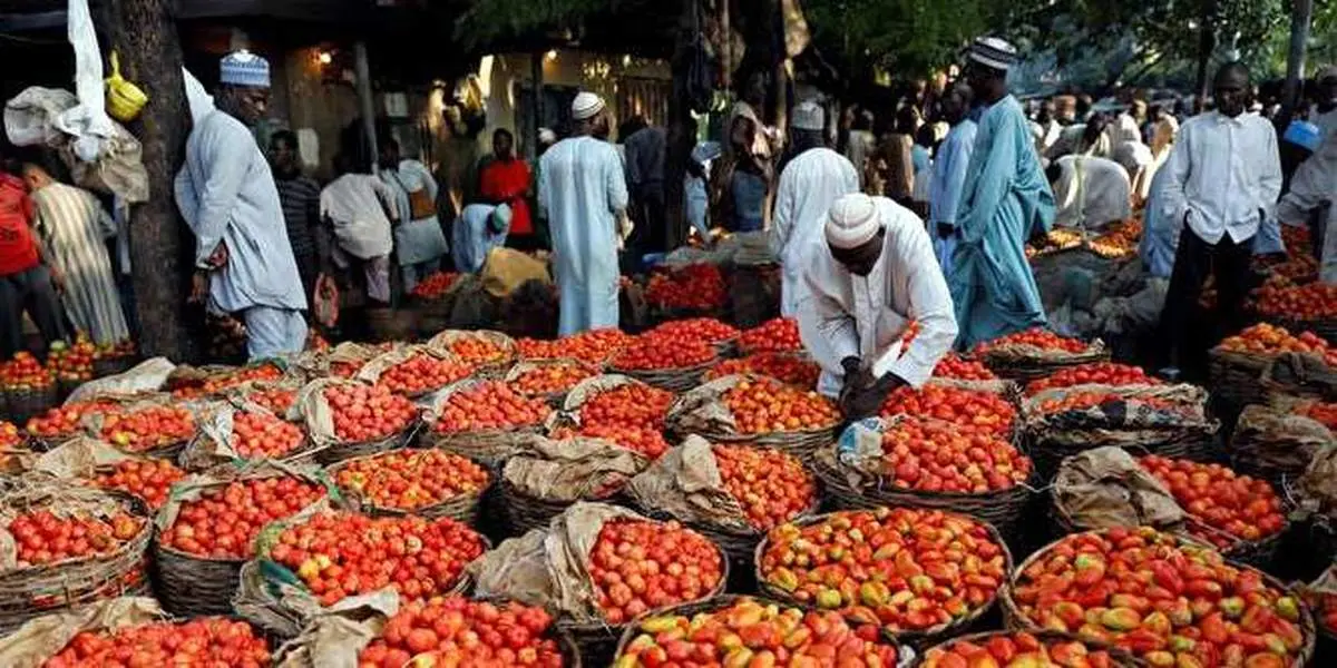 هشدار گمرک نیجریه نسبت به ورود شش کانتینر رب گوجه فاسد از ایران
