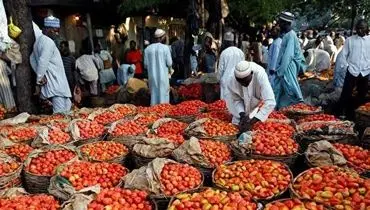 هشدار گمرک نیجریه نسبت به ورود شش کانتینر رب گوجه فاسد از ایران