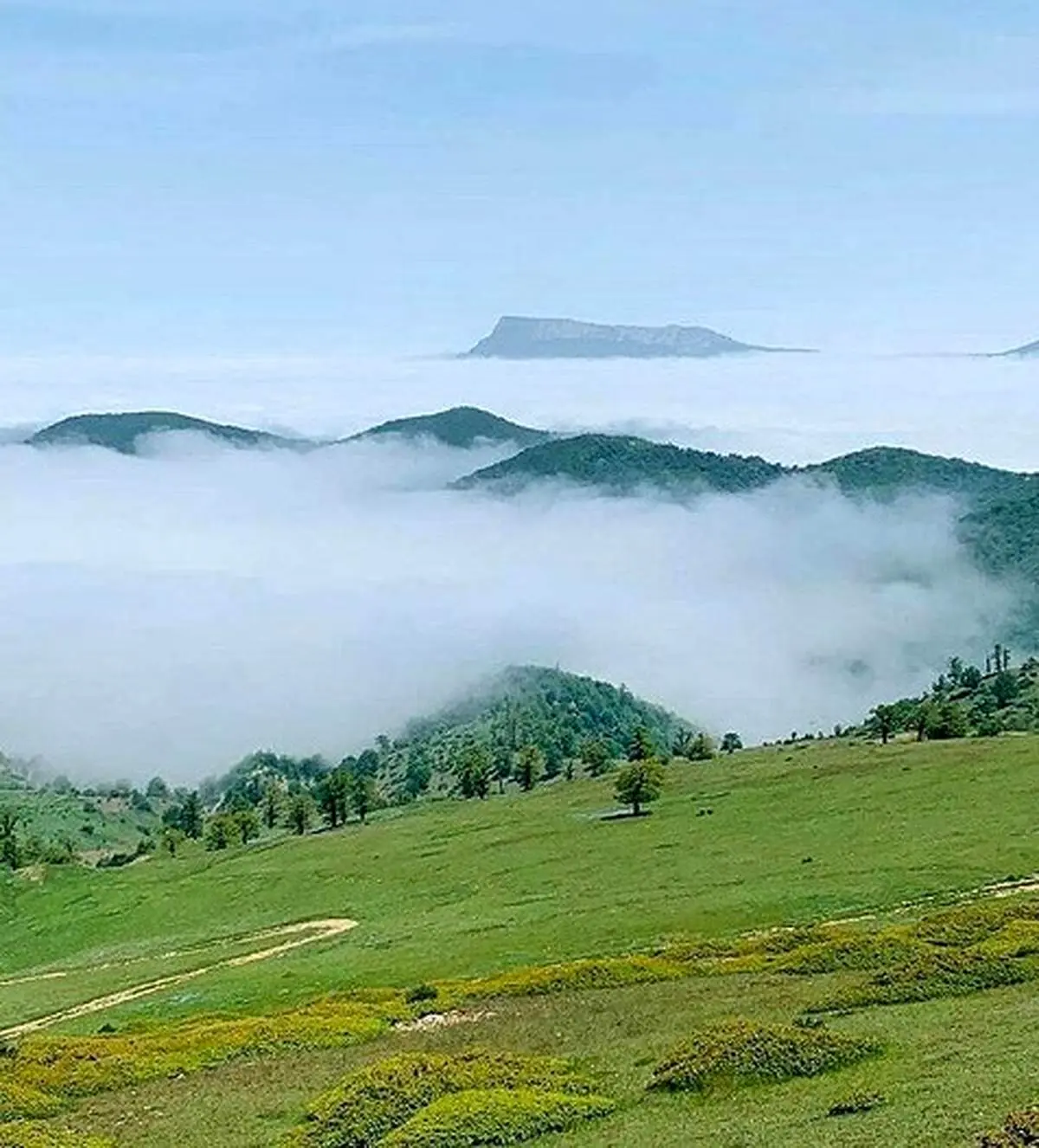 نمایی زیبا از جنگل ابر در شاهرود