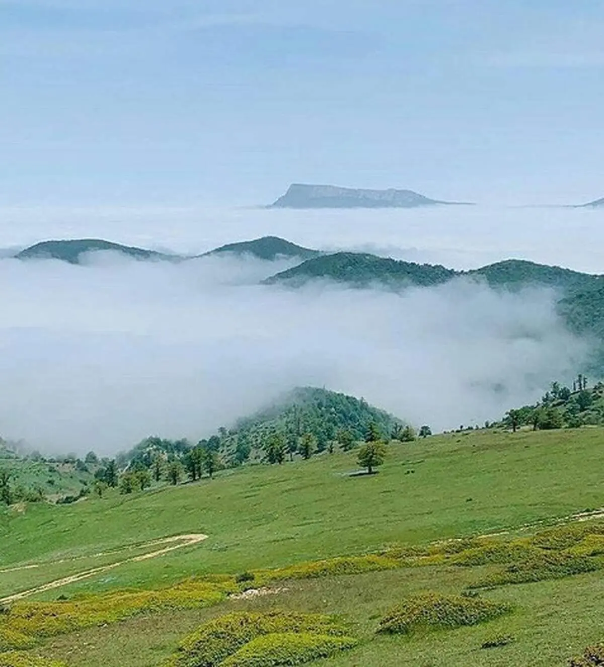 نمایی زیبا از جنگل ابر در شاهرود