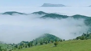 نمایی زیبا از جنگل ابر در شاهرود