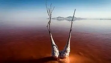 ماجرای موجود عجیب در دریاچه ارومیه چه بود؟